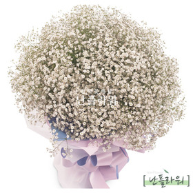 화이트 안개꽃다발