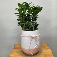 보석금전수
