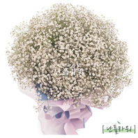 화이트 안개꽃다발
