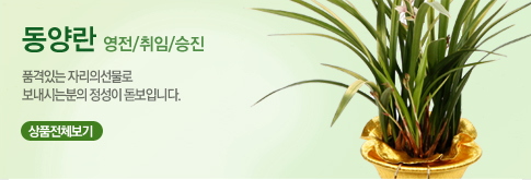 동양란