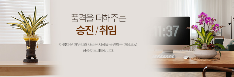 승진/취임
